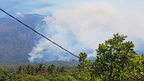 Kondisi lereng Gunung Agung yang terletak di atas  Desa Baturinggit, Kecamatan Kubu, Karangasem, yang mengalami kebakaran, Rabu (27/9/2923). (istimewa)