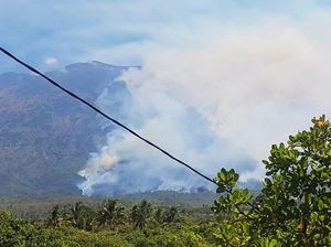Lereng Gunung Agung Terbakar, Berpotensi Meluas!