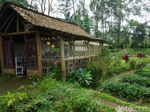 Komunitas Twelves Organic Perjuangkan Harga Pantas untuk Petani Mojokerto