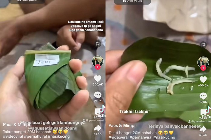 Nasi kucing super mini viral ditonton 20 juta kali