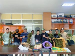 Polisi Tangkap 2 Pengedar Narkoba di Manokwari, Sita 19 Kg Ganja