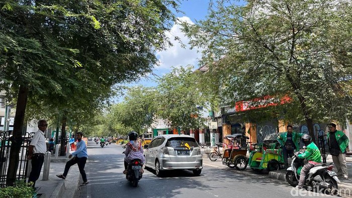 Pohon gayam dan asam jawa yang jadi perindang di Jalan Malioboro Jogja. Foto diambil Rabu (20/9/2023).