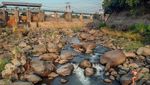 Penampakan Air Sungai Ciliwung Menyusut Akibat Kemarau