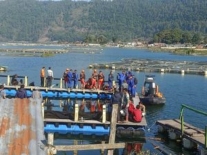 Pria yang Diduga Tenggelam di Danau Batur Sempat Minta Kirim Pesan WA