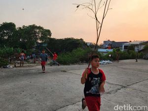 Ternyata Ini Cara Mengubah Tanah Kosong Jadi Sumber Cuan