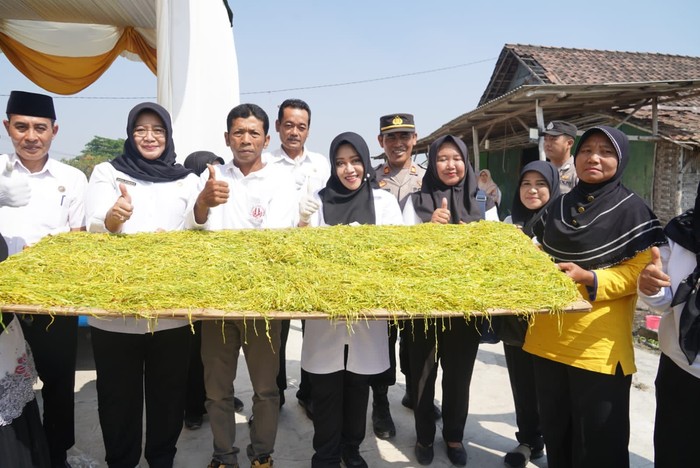 Bupati Mojokerto