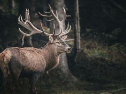 Hal-hal yang Dianggap Biasa Tapi Sangat Berbahaya