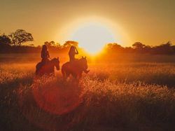 Hal-hal yang Dianggap Biasa Tapi Sangat Berbahaya