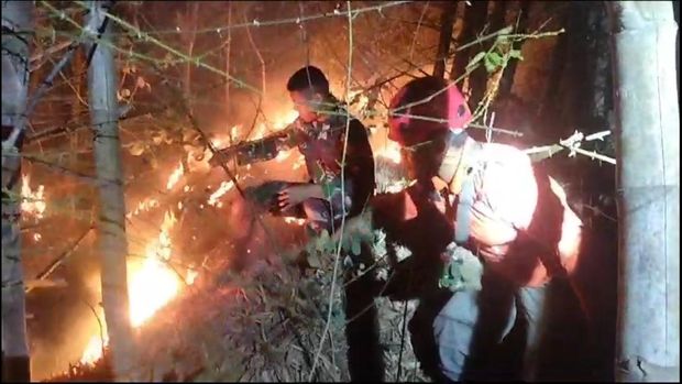 Kebakaran hutan dan lahan (Karhutla) kembali terjadi di wilayah Trenggalek. Kali ini kebakaran terjadi di kawasan hutan Perhutani di Gunung Orak-arik.