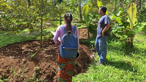 Kebun durian di Desa Mundeh Kangin, Kecamatan Selemadeg Barat, Tabanan.