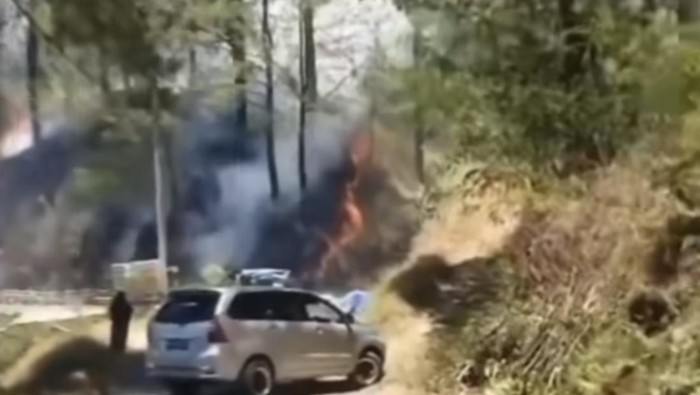 Kebakaran lahan terjadi di kawasan Hutan Pinus Malino, Kabupaten Gowa, Sulawesi Selatan (Sulsel).