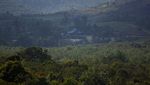 Potret Lahan untuk Warga Terdampak Proyek Rempang Eco-City