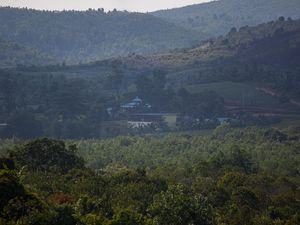 Investasi Rempang Eco City Capai Rp 381 T, Dibagi Jadi 7 Zona