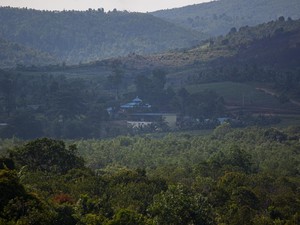 Investasi Rempang Eco City Capai Rp 381 T, Dibagi Jadi 7 Zona