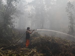 Asap Karhutla Mulai Berdampak, 2.052 Warga Kalteng Terserang ISPA