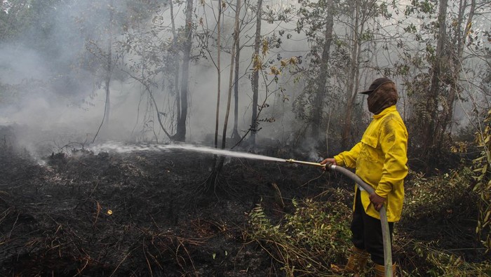 Upaya Pemadaman Karhutla di Kalimantan Tengah Petugas dari satgas gabungan pemadam kebakaran hutan dan lahan (karhutla) berupaya memadamkan api yang membakar hutan dan lahan di Desa Tumbang Nusa, Pulang Pisau, Kalimantan Tengah, Rabu (27/9/2023). Berdasarkan data sementara dari Badan Penanggulangan Bencana dan Pemadam Kebakaran (BPBPK) Provinsi Kalimantan Tengah, karhutla yang melanda Kabupaten/Kota di Kalteng dari Januari sampai (18/9/2023) terdapat 2.541 kejadian karhutla, 17.291 hotspot dan luas yang ditangani sekitar 7.534, 67 hektare. ANTARA FOTO/Auliya Rahman/tom.