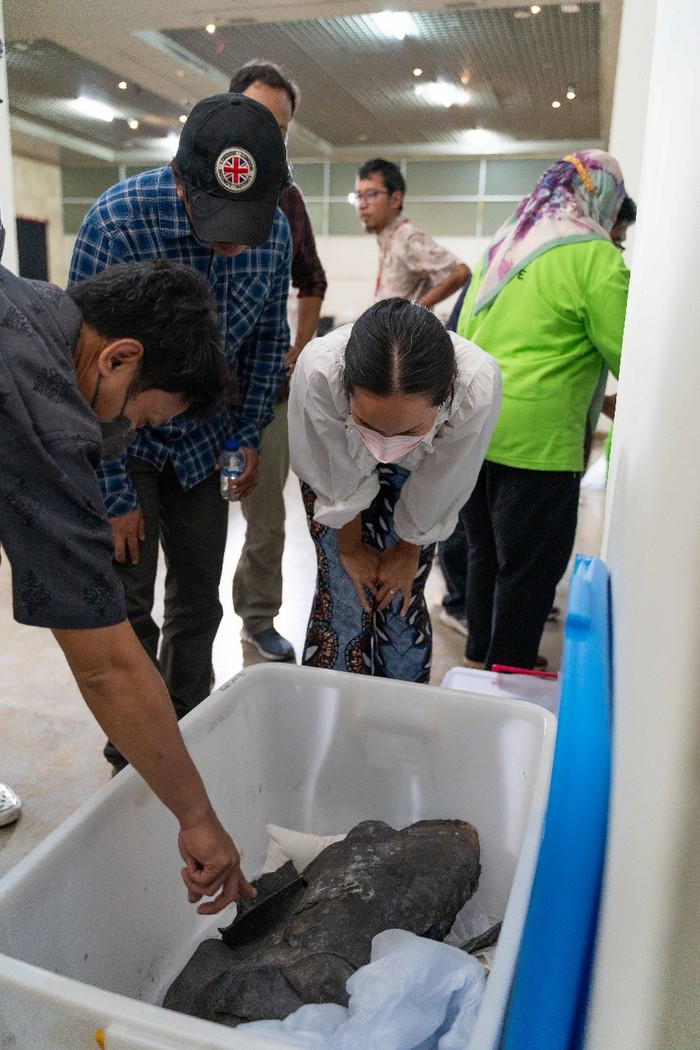 Artefak Museum Nasional yang diselamatkan imbas kebakaran Artefak Museum Nasional yang diselamatkan imbas kebakaran