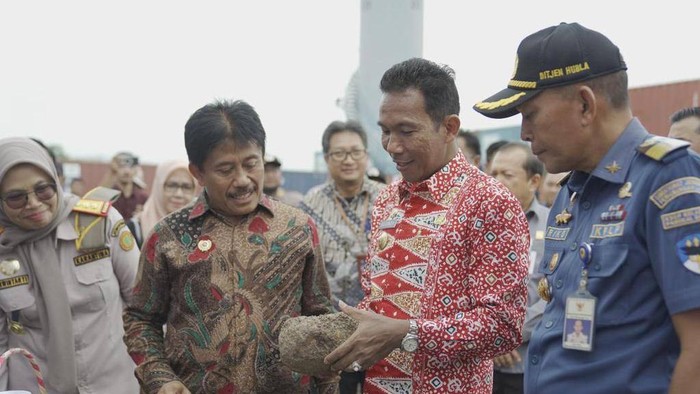 Ekspor umbi porang produksi petani Babel ke China.