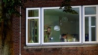 Polisi menyerbu rumah sakit, ketika petugas medis yang panik keluar dari gedung sambil mendorong pasien dengan kursi roda dan tandu.