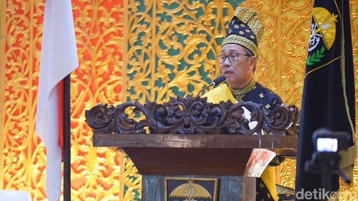 Gubernur Riau Syamsuar (Raja Adil Siregar/detikSumut)