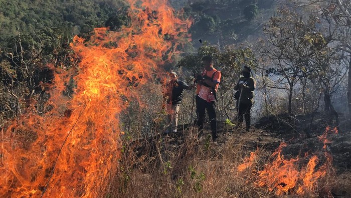 Kebakaran di Bulu Sewo Soppeng.