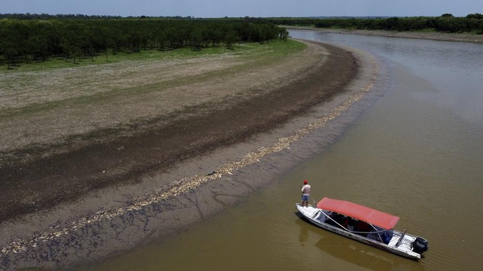 Thousands of dead fish float in Piranha Lake due to a severe drought in the state of Amazonas in Manacapuru, Brazil, Wednesday, Sept. 27, 2023. (AP Photo/Edmar Barros)