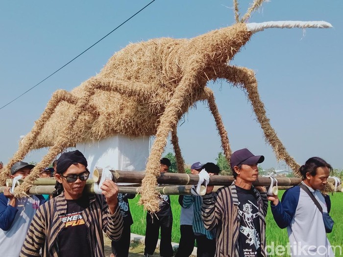 Kirab budaya festival Mbok Sri ke-6 di Desa Delanggu, Klaten, Jumat (29/9/2023).