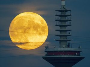 Harvest Moon Hari Ini Jam Berapa? Ini Jadwal dan Cara Lihatnya