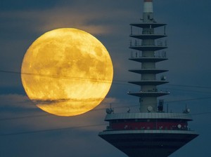 Harvest Moon Hari Ini Jam Berapa? Ini Jadwal dan Cara Lihatnya