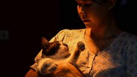 Rumah singgah ini juga membuka adopsi kucing bagi masyarakat yang ingin memelihara. 