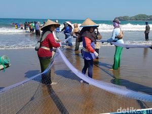 Saryono Dapat Ikan Rp 70 Juta Saat Menjaring di Pangandaran