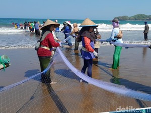 Saryono Dapat Ikan Rp 70 Juta Saat Menjaring di Pangandaran