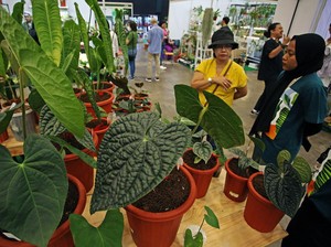 Menggali Potensi Agrowisata Indonesia Jadi Daya Tarik Baru