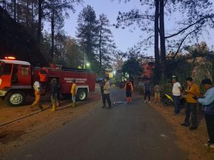 Kebakaran Hutan Pinus Malino Gowa Sudah Padam, 8 Hektare Lahan Hangus