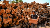 Gamelan ini dijual dengan harga Rp12 juta per set hingga Rp500 juta per set gamelan tergantung dari bahan baku yang digunakan.