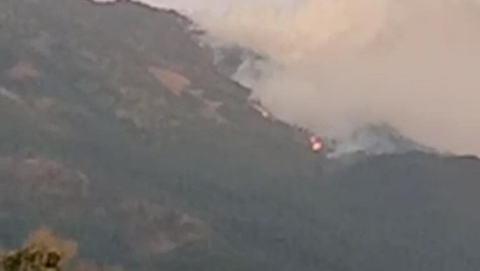 Gunung Lawu Di Ngawi Kembali Terbakar