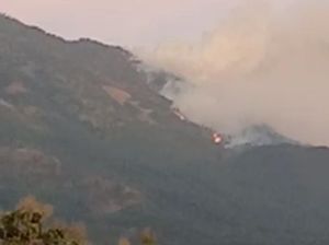Hutan Gunung Lawu di Ngawi Kembali Terbakar