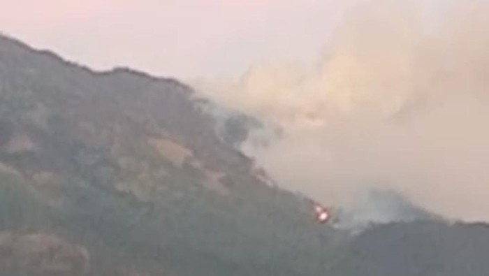 Gunung Lawu Di Ngawi Kembali Terbakar