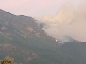 Water Bombing Akan Didatangkan Padamkan Kebakaran Gunung Lawu