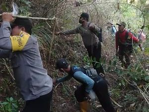 Api Tak Kunjung Padam, Kebakaran Hutan Gunung Lawu Capai 35 Hektare