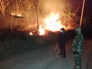 30 Hektare Lahan di Gunung Sadakeling Garut Terbakar