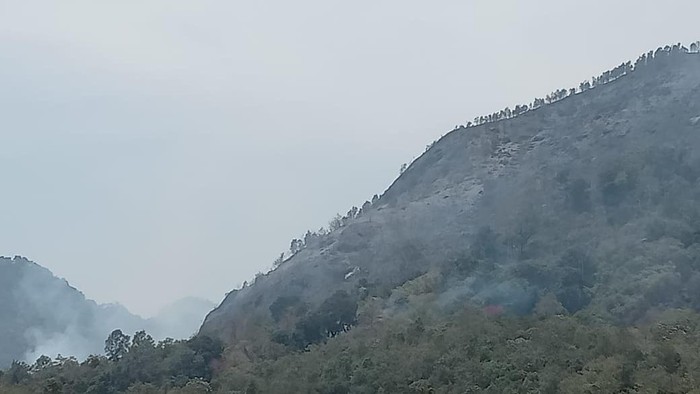 Kondisi terkini Bukit Barisan Lahat