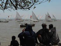 Melihat Serunya Lomba Perahu Layar Tradisional di Surabaya