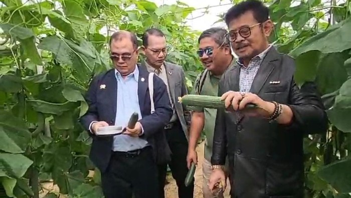 Menteri Pertanian, Syahrul Yasin Limpo (Mentan SYL) mengunjungi salah satu lokasi pertanian yang berada di Almeria, Spanyol (24/9)