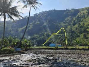 Geger Kemunculan Piramida di Kawasan Danau Toba, Ini Kata Peneliti BRIN