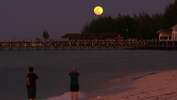 Foto udara Pulau Bokori yang menjadi tujuan wisata di Kecamatan Soropia, Konawe, Sulawesi Tenggara, Jumat (29/9/2023). Pulau Bokori banyak dikunjungi wisatawan setiap akhir pekan karena memiliki keunikan pasir putih dan ratusan pohon cemara tumbuh rapi yang mengelilingi pulau tersebut. ANTARA FOTO/Jojon/Spt.