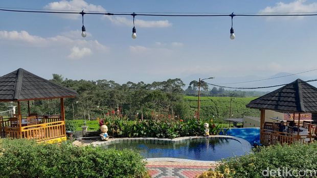Villa Thania yang berada di tengah kebun teh di Kapahiang (Foto; Hery Supandi/detikSumbagsel)