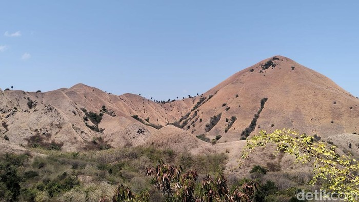 Cagar Alam Wae Wuul di Labuan Bajo, NTT.