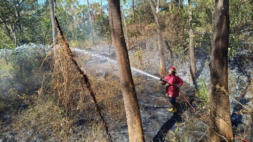 Damkartan Kabupaten Karangasem saat melakukan penanganan kebakaran lahan di Kecamatan Kubu, Karangasem beberapa waktu yang lalu. (Dok. Damkartan Kabupaten Karangasem)