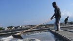 Gegara  El Nino, Harga Garam Turun